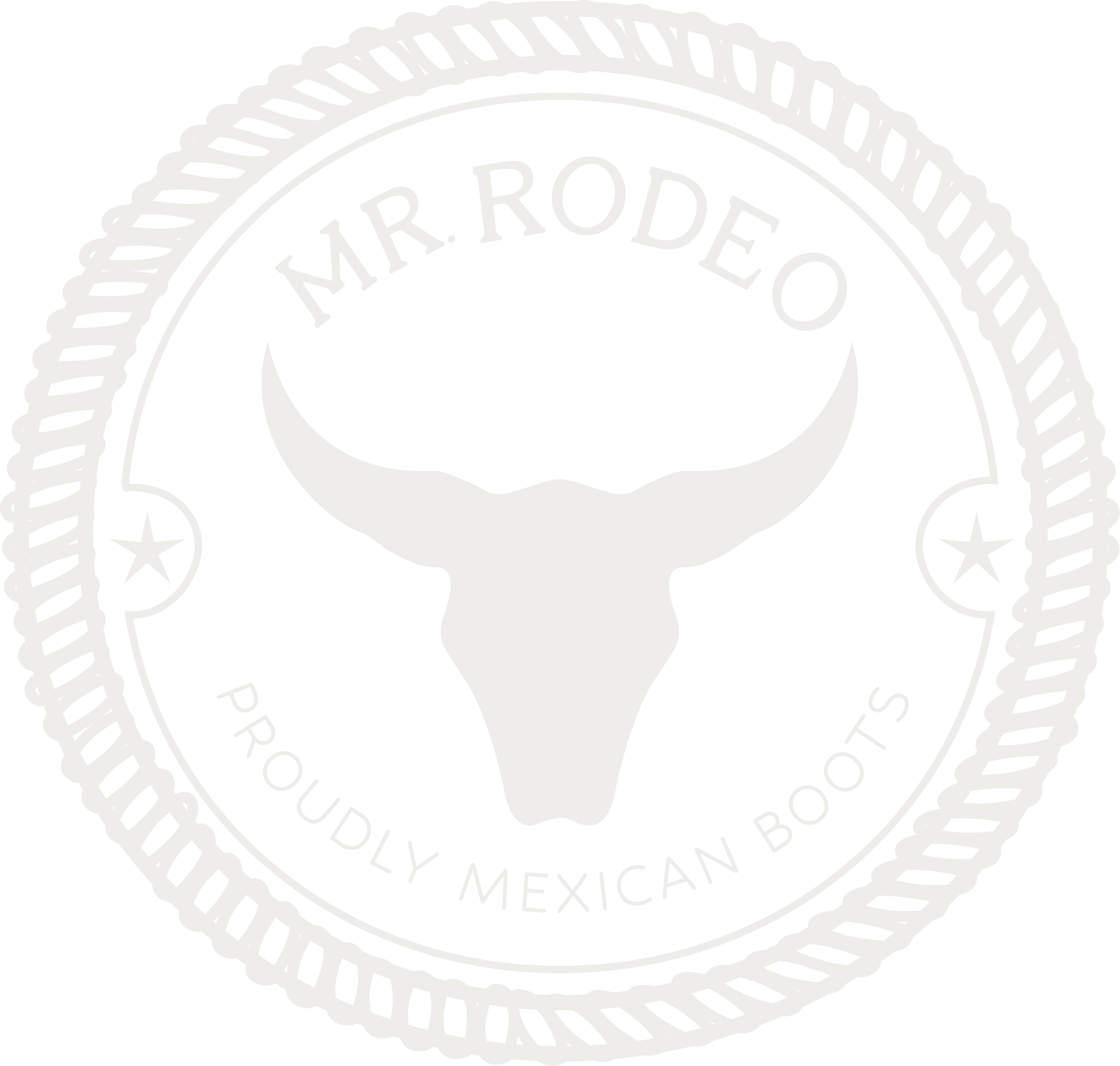 Mr Rodeo